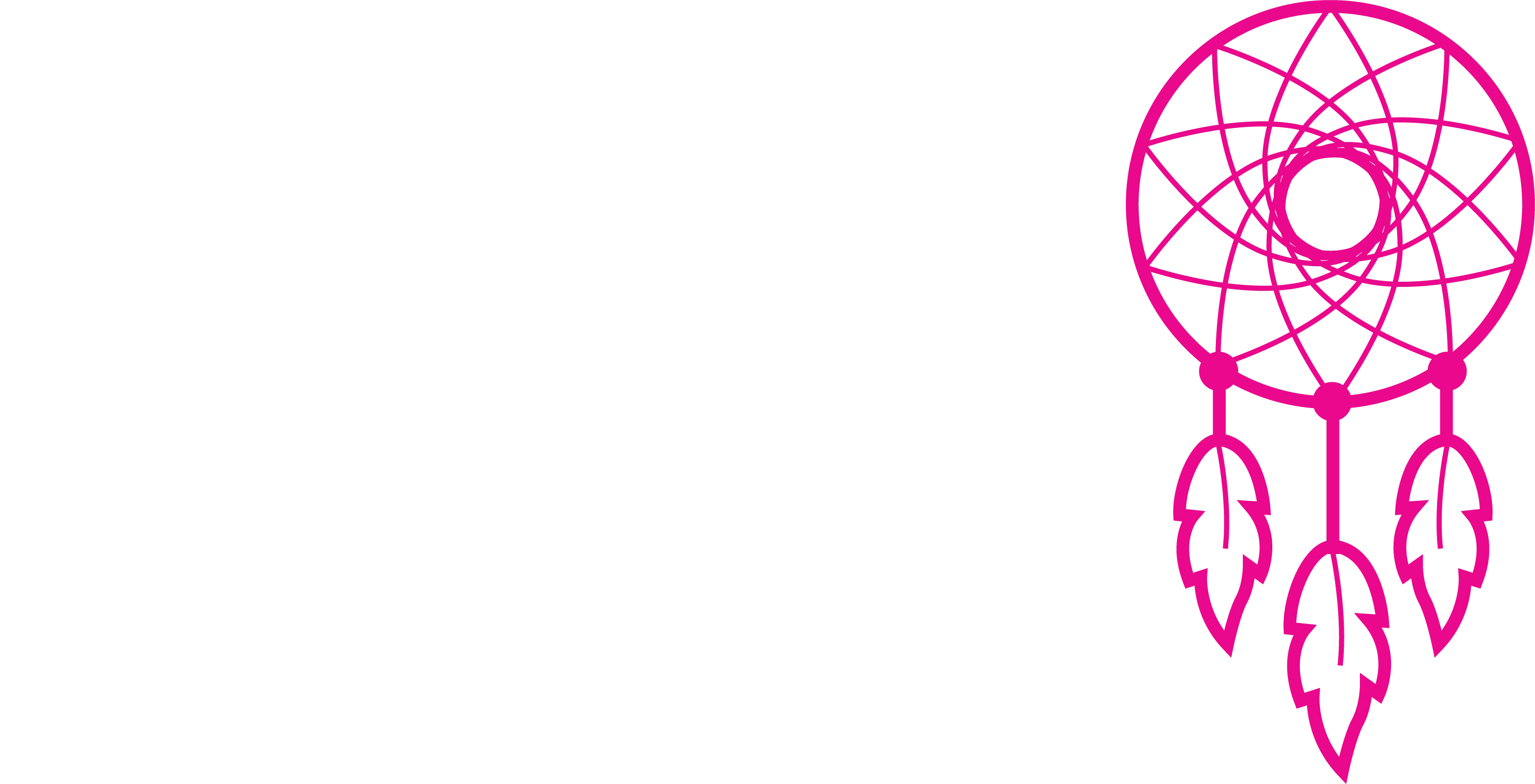 DreamCatchers Hair Extension Warranty Fee